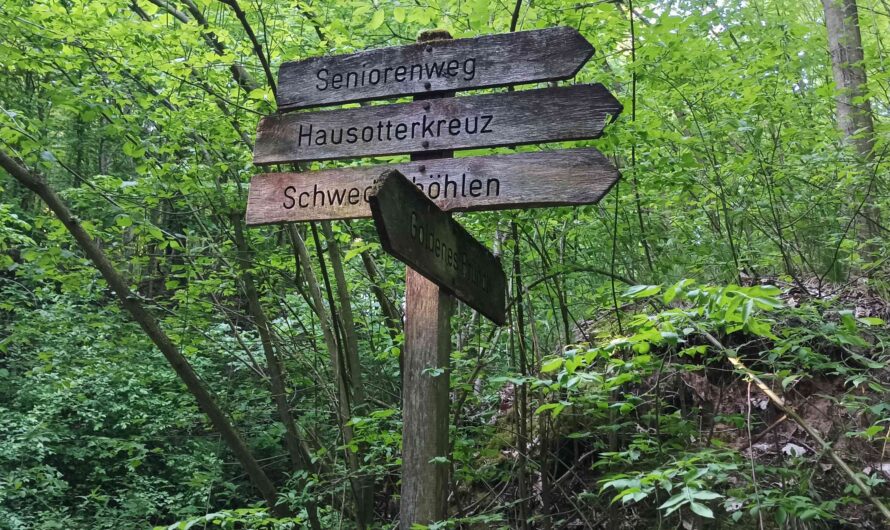 Wegweiser im Rohrwald