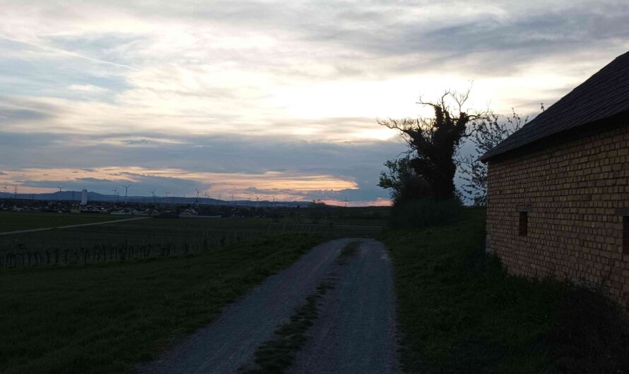 Abend bei Bockfließ